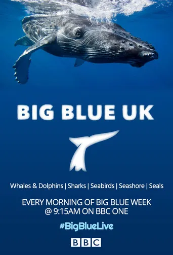 Big Blue UK poster