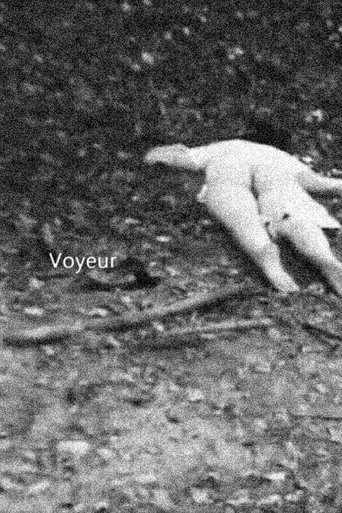Voyeur poster