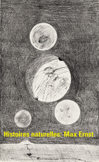 Histoires naturelles : Max Ernst poster