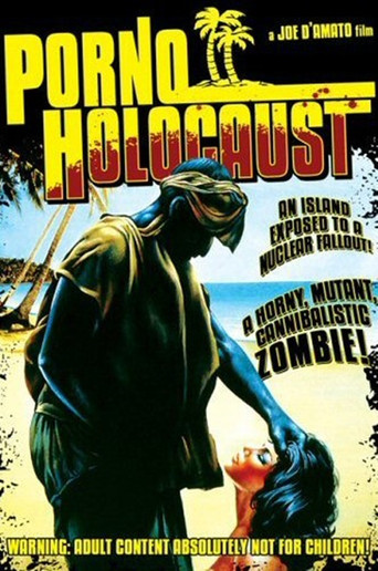 Porno Holocaust poster