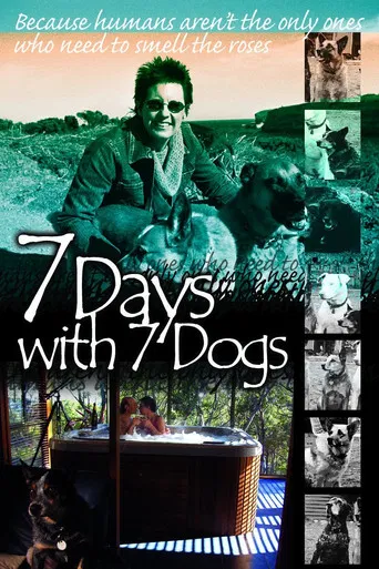 7 Days with 7 Dogs poster