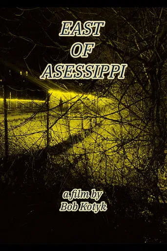 East of Asessippi poster