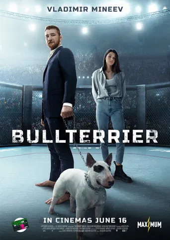 Bullterrier poster
