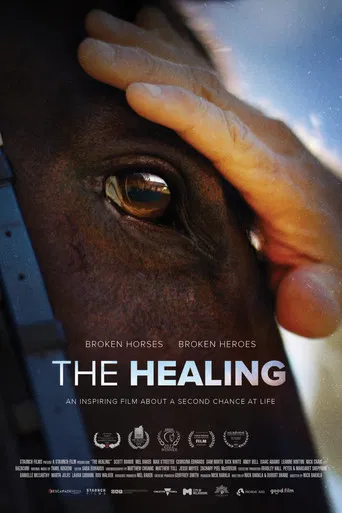 The Healing poster