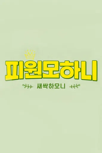 Saessak Harmony poster