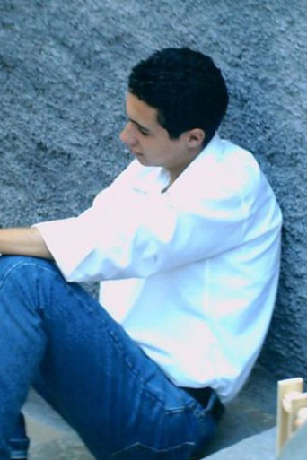 Swallows and Virgins poster