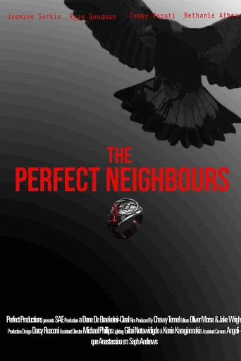 The Perfect Neighbours poster