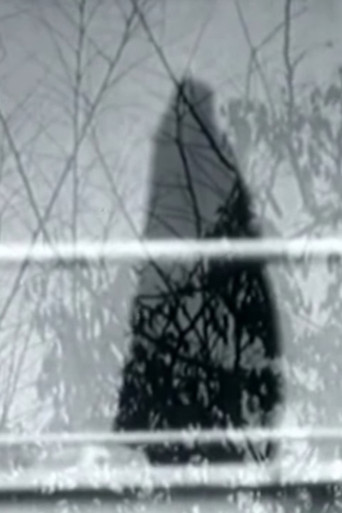 Never Happened poster