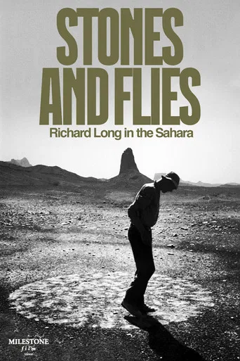 Stones and Flies: Richard Long in the Sahara poster