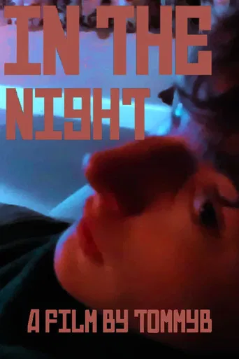 In The Night poster