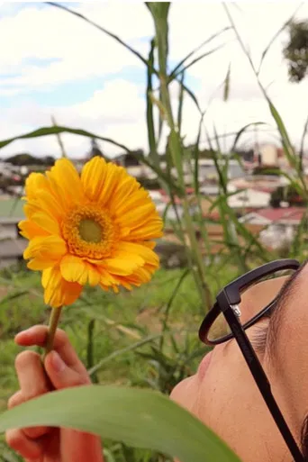 Pétalos del sol poster