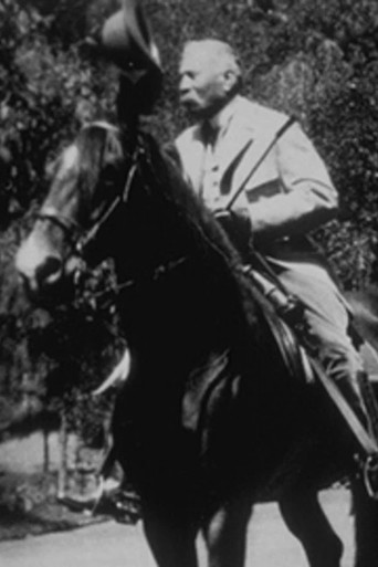 Le Président en Promenade poster