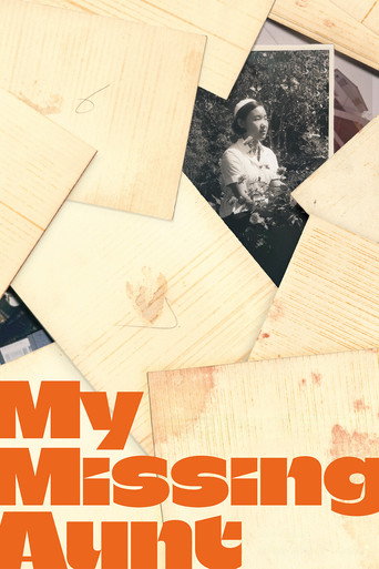 My Missing Aunt poster