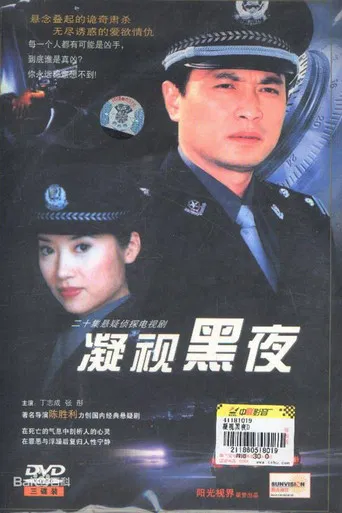 凝视黑夜 poster