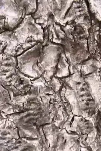 Ecosystem 16 ~ Geoid poster