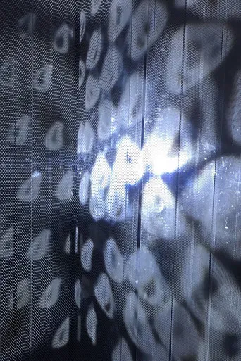 Film Ambiente poster