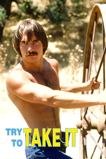 Try To Take It poster