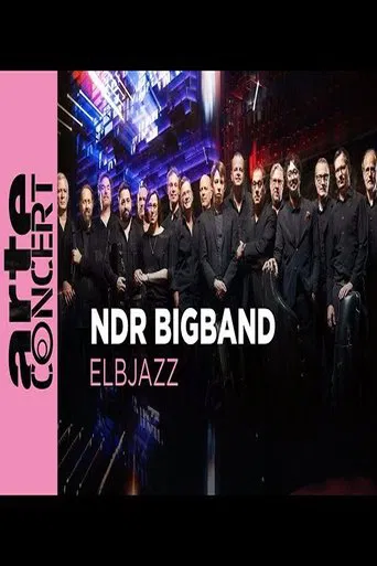NDR Bigband feat. Lenine & Martin Fondse: The Bridge Elbjazz Festival 2024 poster