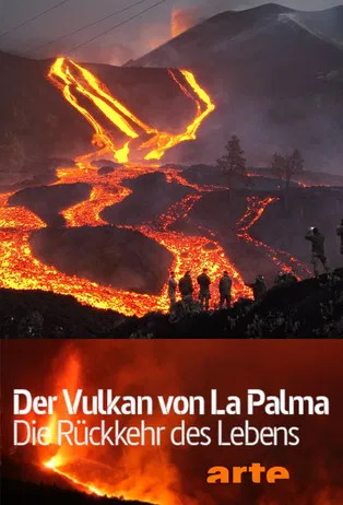 Der Vulkan von La Palma - Die Rückkehr des Lebens poster