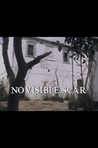 No Visible Scar poster