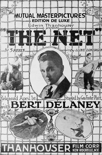 The Net poster