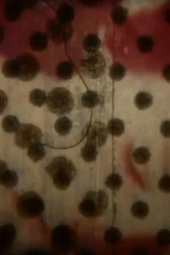 Condicionadas poster