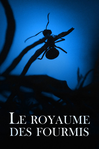 Le Royaume des fourmis poster