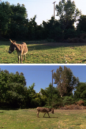 Changed Landscape poster