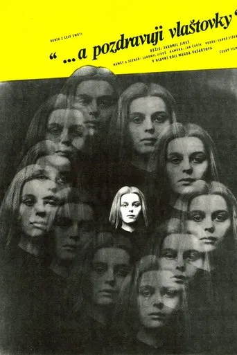 And Give My Love to the Swallows poster