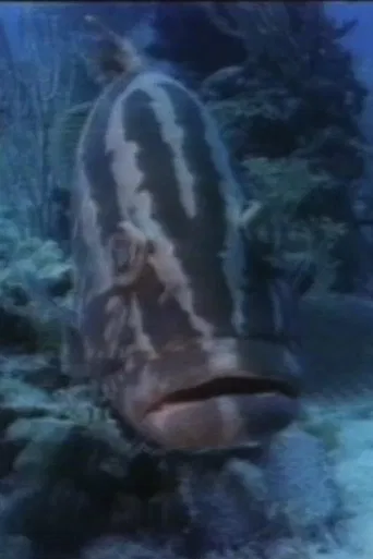 The Living Sea poster