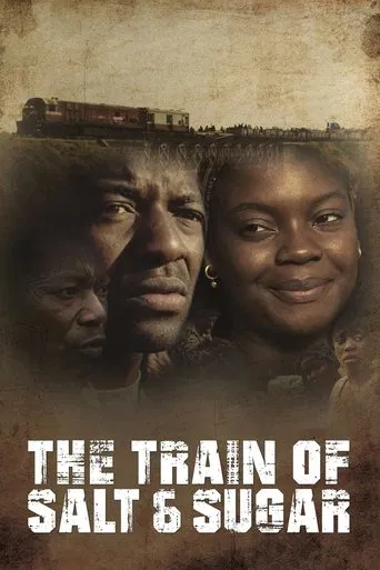 The Train of Salt and Sugar poster