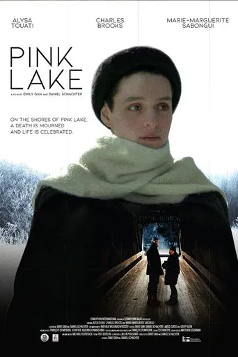 Pink Lake poster