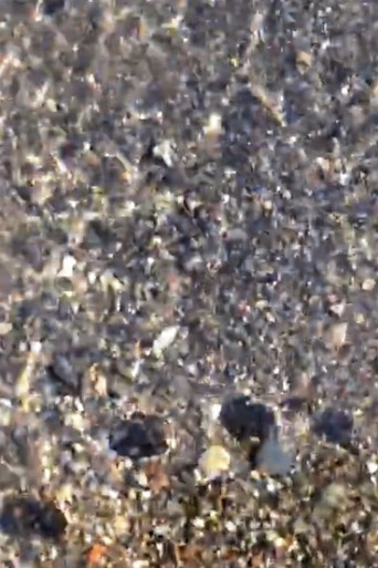 Fading Shade vol.1,2 poster