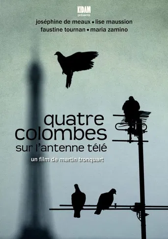 Quatre colombes sur l'antenne télé poster