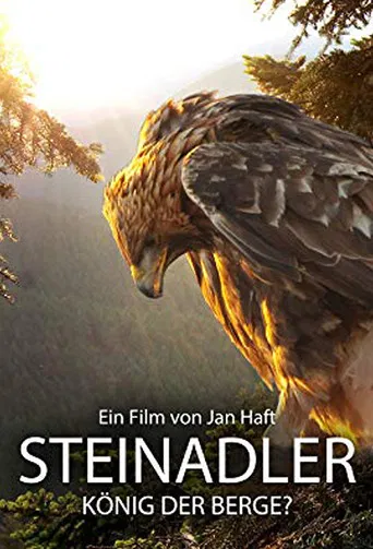 Steinadler - König der Berge poster