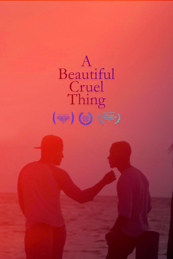 A Beautiful Cruel Thing poster