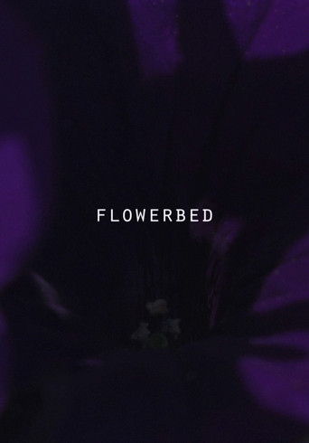 Flower Bed poster