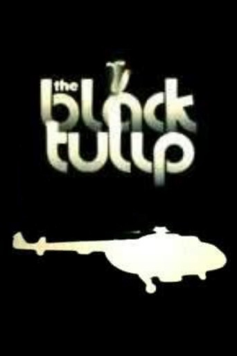 The Black Tulip poster
