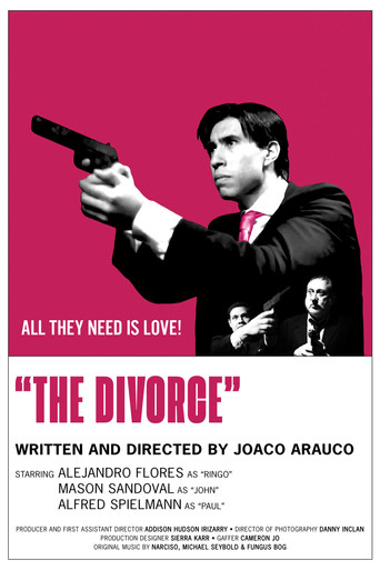 The Divorce poster
