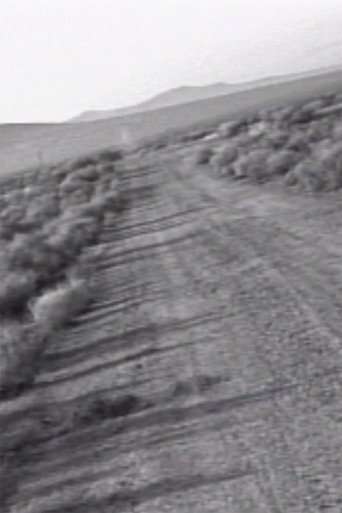 Facts on the Polywave poster