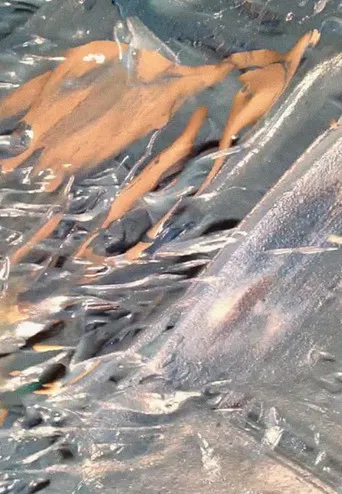 After Creation After Icebergs poster