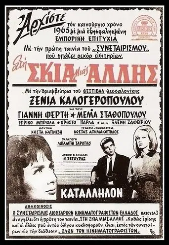 In the shadow of the other woman poster