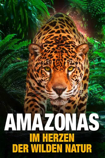 AMAZON 3D poster