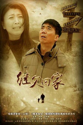 继父回家 poster