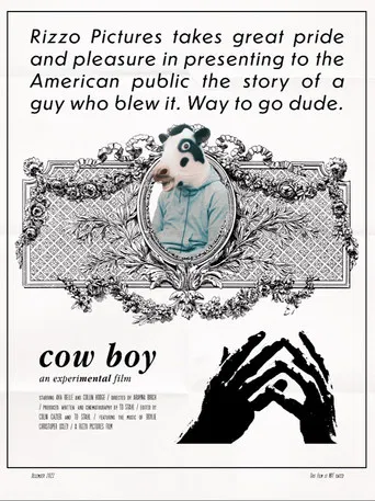 Cow Boy poster