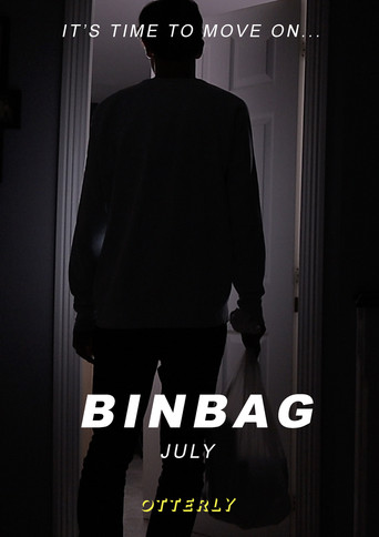 BinBag poster