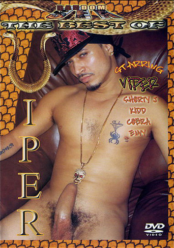 The Best of Viper poster