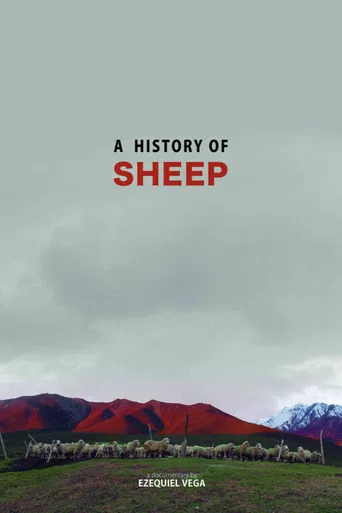 A History Of Sheep poster
