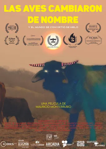 The Birds Changed Names And The World Turned Into Ice poster