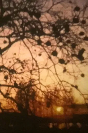 Sole Sole Sole poster